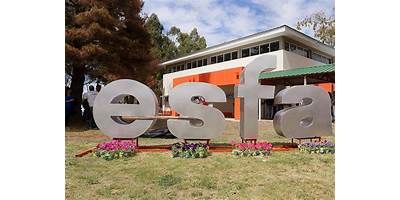 ESCUELA DE EDUCACION ESPECIAL NRO.22