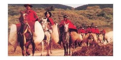 GAUCHOS DE GUEMES EX N° 222
