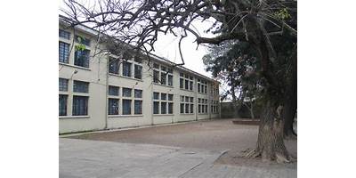 Imagen de la galería
