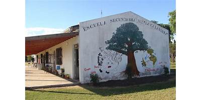 LA CALANDRIA 25