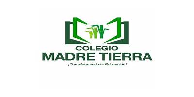 MADRE TIERRA EX N° 549