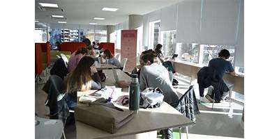 Imagen de la galería