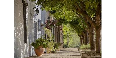 C.E.N.P.A. DE LOS REARTES