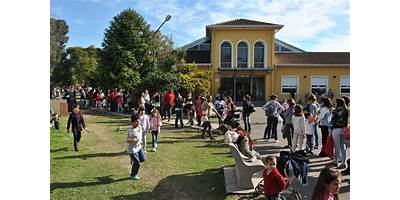 Imagen de la galería