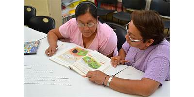 Imagen de la galería