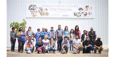 Imagen de la galería