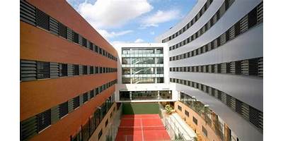 Imagen de la galería