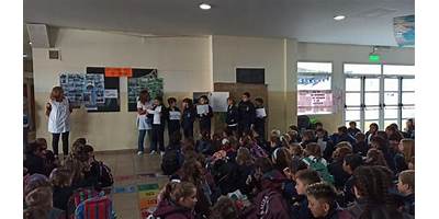 Imagen de la galería