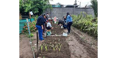 Imagen de la galería