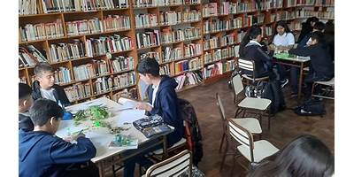 Imagen de la galería