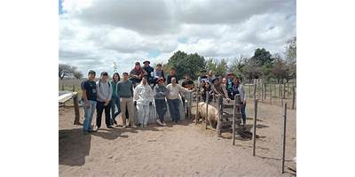 Imagen de la galería