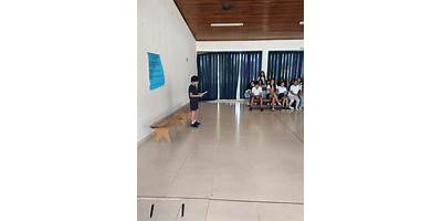 Imagen de la galería