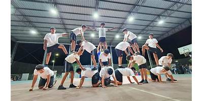 Imagen de la galería