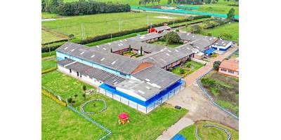 Imagen de la galería