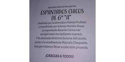 BEATRIZ FALCITELLI