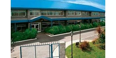 COLEGIO GRILLI CANNING