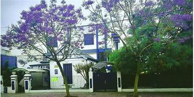 COLEGIO MADRE TERESA