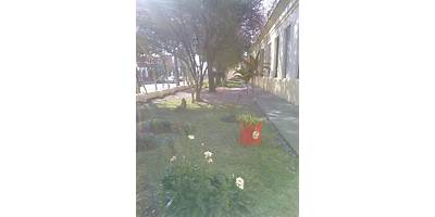 CORNELIO SAAVEDRA 1
