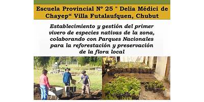 Delia Medici De Chayep