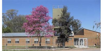 E.E.P. Nº 807 - PROVINCIA DE SALTA