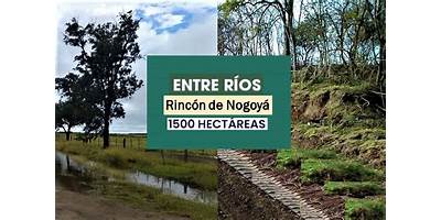 EJERCITO LIBERTADOR 12