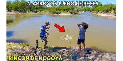 EL HOGAR PATERNO 33