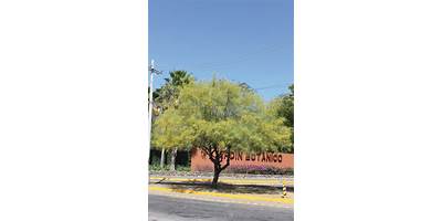 ESC. N° 256 PROVINCIA DE SALTA