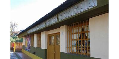 ESC. N° 306 GOBERNADOR ZOILO CONCHA