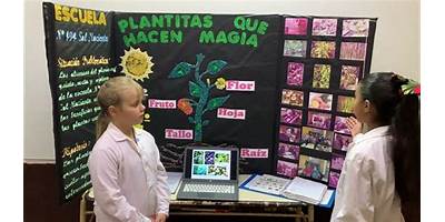 ESC. Nº 494: SOL NACIENTE