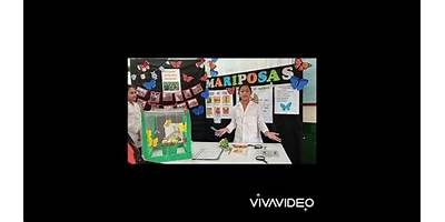 ESC. Nº 802: TIERRA COLORADA