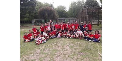 ESCUELA CIMDIP