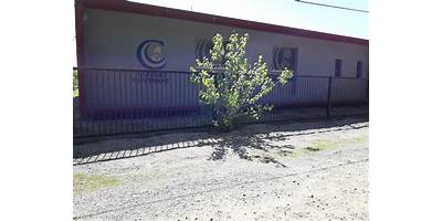 ESCUELA CONCILIO VATICANO II