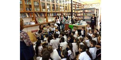 Imagen de la galería