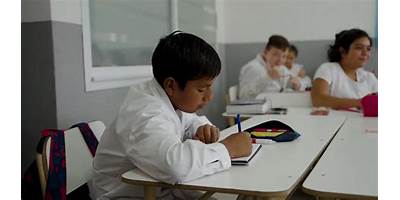 ESCUELA DE EDUCACIÓN PRIMARIA Nº5 RICARDO ROJAS