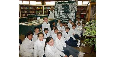 ESCUELA DE EDUCACIÓN PRIMARIA Nº53 PTE. ARTURO V. ILLIA