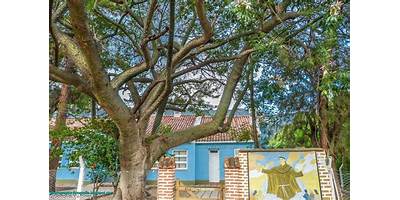 ESCUELA N° 204