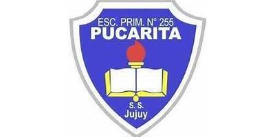 ESCUELA N 255 PUCARITA