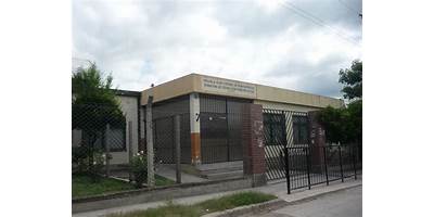 ESCUELA N° 4727 - EL TREMENTINAL DE GENERAL MOSCONI EX 1061