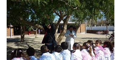 ESCUELA Nª 4331 EL TIMBO EX N° 520