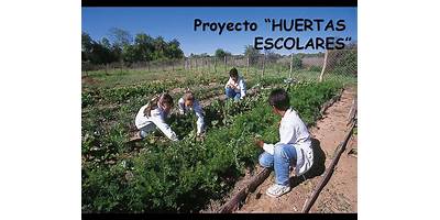 ESCUELA Nº 578 YAPEYU