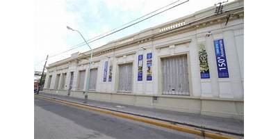 Imagen de la galería
