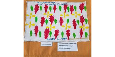 ESCUELA NRO 597 PEDRO BONIFACIO PALACIOS