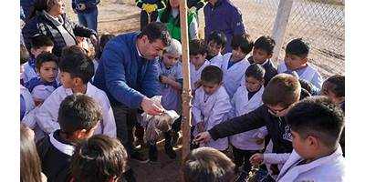 ESCUELA PRIMARIA 175