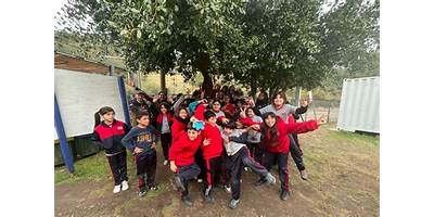 ESCUELA PRIMARIA 297