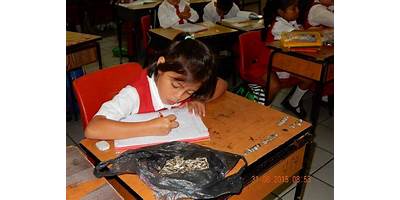 ESCUELA PRIMARIA 48 FRANCISCO PASCACIO MORENO