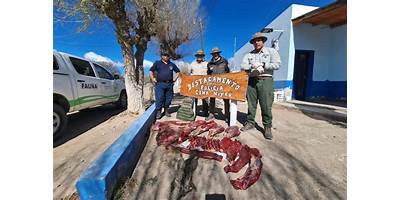 ESCUELA PRIMARIA NRO.171 GENDARMERIA NACIONAL
