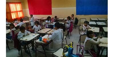 ESCUELA PRIMARIA NRO.357 PICHI LIG MAICOÑO