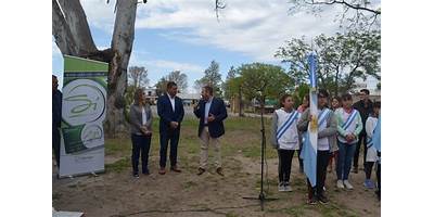 Imagen de la galería