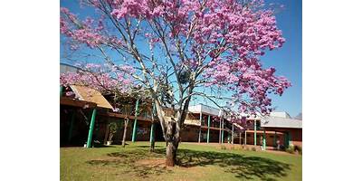 INST. NTRA. SRA. DEL IGUAZÚ