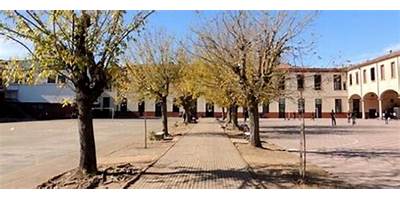 INSTITUTO CARMEN ARRIOLA DE MARIN